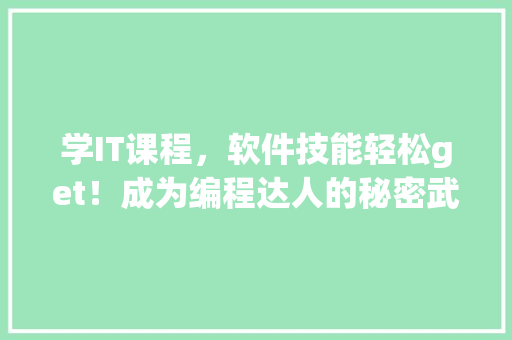 学IT课程，软件技能轻松get！成为编程达人的秘密武器！ GoogleSEO