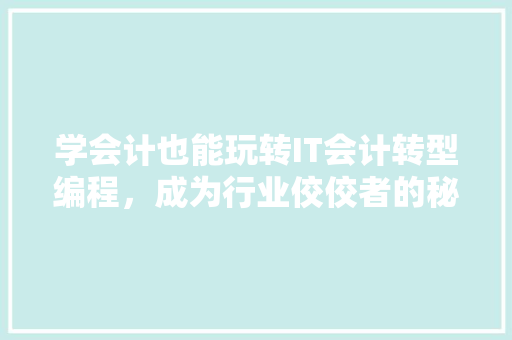 学会计也能玩转IT会计转型编程，成为行业佼佼者的秘密！