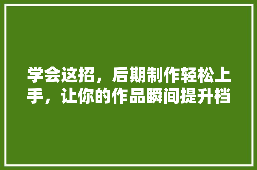 学会这招，后期制作轻松上手，让你的作品瞬间提升档次