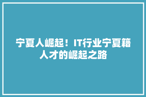 宁夏人崛起！IT行业宁夏籍人才的崛起之路