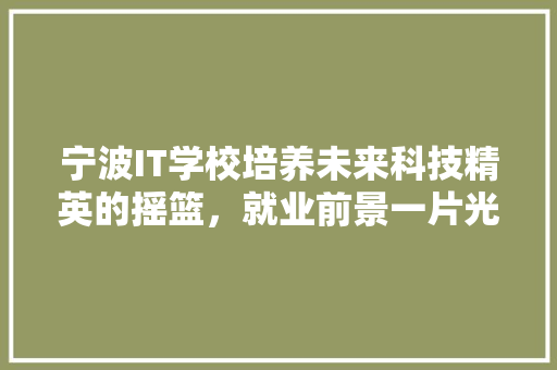 宁波IT学校培养未来科技精英的摇篮，就业前景一片光明！