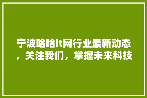 宁波哈哈it网行业最新动态，关注我们，掌握未来科技脉动！