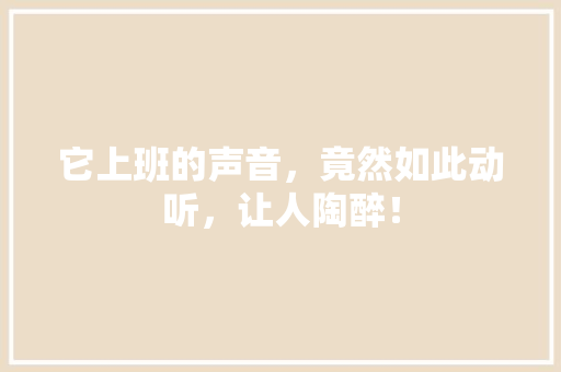 它上班的声音，竟然如此动听，让人陶醉！