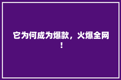 它为何成为爆款，火爆全网！