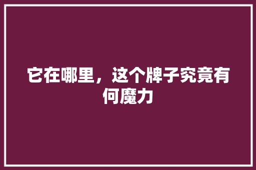 它在哪里，这个牌子究竟有何魔力