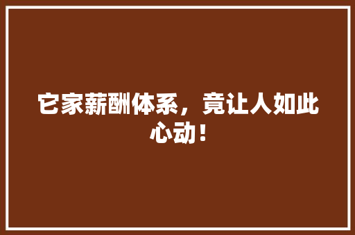 它家薪酬体系，竟让人如此心动！