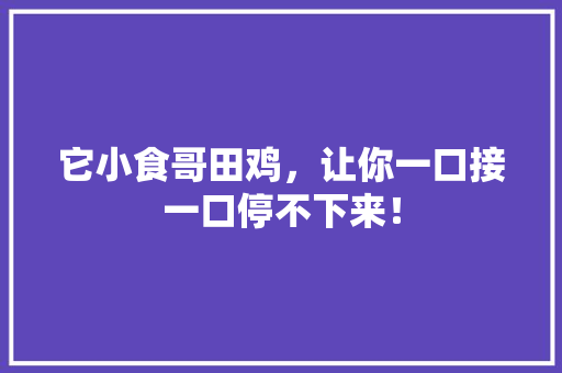 它小食哥田鸡，让你一口接一口停不下来！