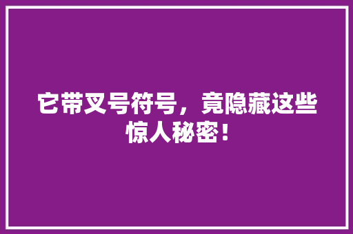 它带叉号符号，竟隐藏这些惊人秘密！