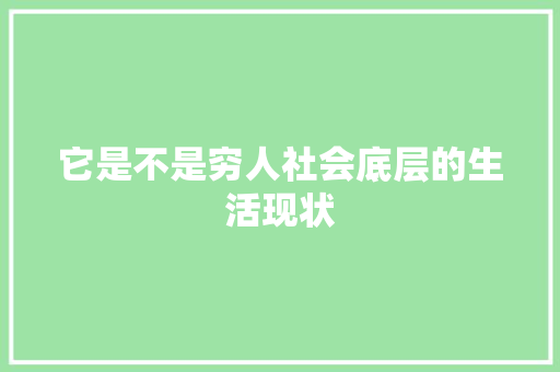 它是不是穷人社会底层的生活现状