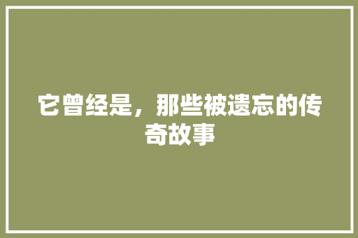它曾经是，那些被遗忘的传奇故事