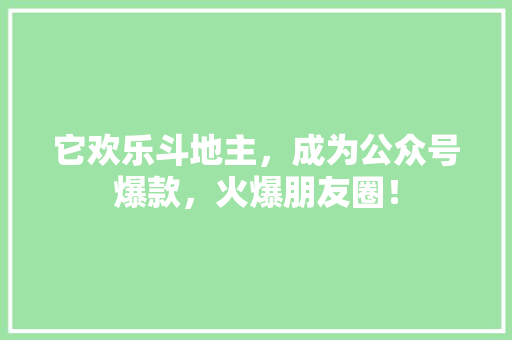 它欢乐斗地主，成为公众号爆款，火爆朋友圈！