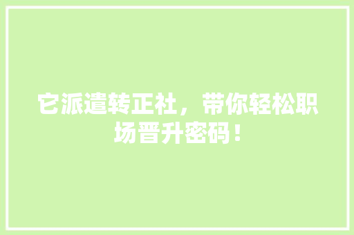 它派遣转正社，带你轻松职场晋升密码！