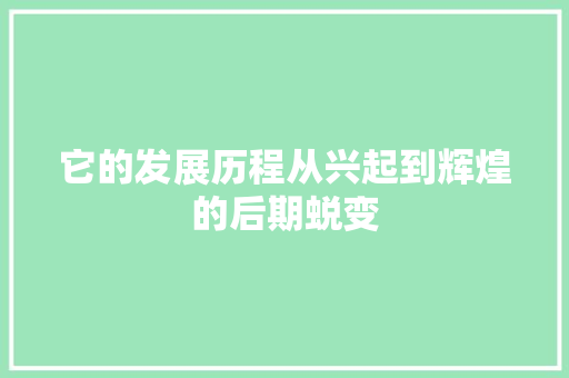 它的发展历程从兴起到辉煌的后期蜕变