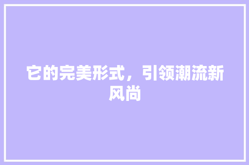 它的完美形式，引领潮流新风尚