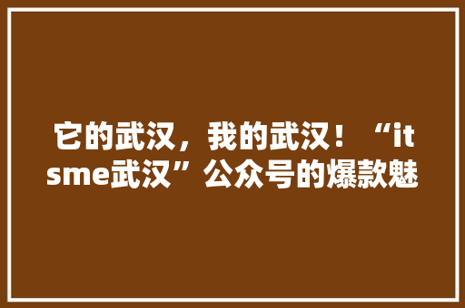 它的武汉，我的武汉！“itsme武汉”公众号的爆款魅力