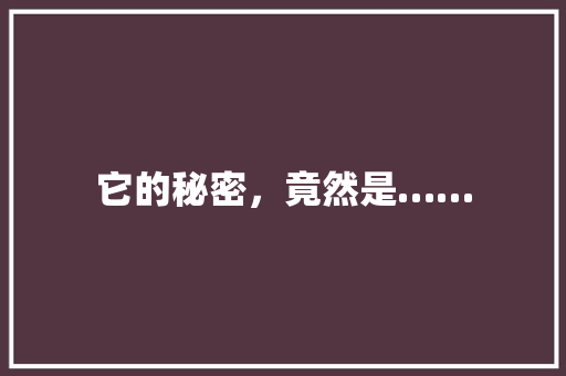 它的秘密，竟然是……