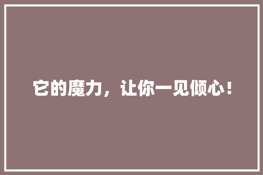 它的魔力，让你一见倾心！