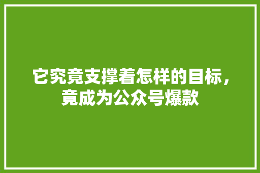 它究竟支撑着怎样的目标，竟成为公众号爆款
