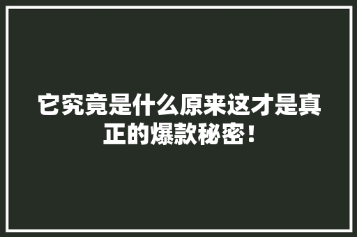 它究竟是什么原来这才是真正的爆款秘密！