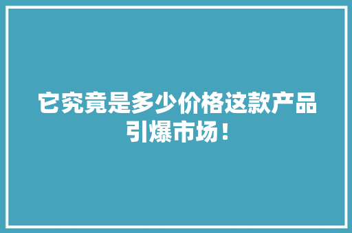 它究竟是多少价格这款产品引爆市场！