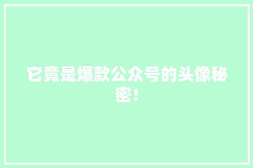 它竟是爆款公众号的头像秘密！