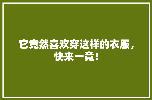 它竟然喜欢穿这样的衣服，快来一竟！