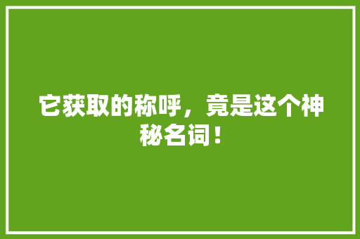 它获取的称呼，竟是这个神秘名词！