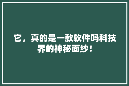 它，真的是一款软件吗科技界的神秘面纱！