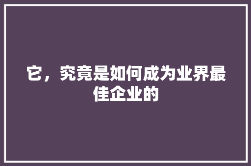 它，究竟是如何成为业界最佳企业的