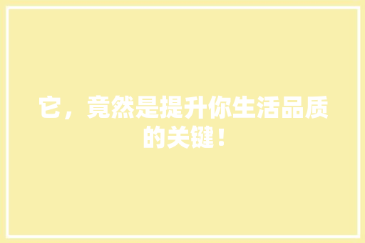 它，竟然是提升你生活品质的关键！