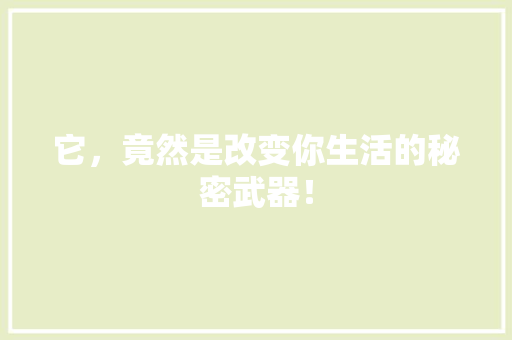 它，竟然是改变你生活的秘密武器！