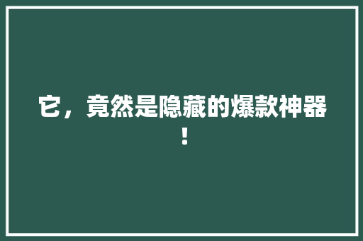 它，竟然是隐藏的爆款神器！