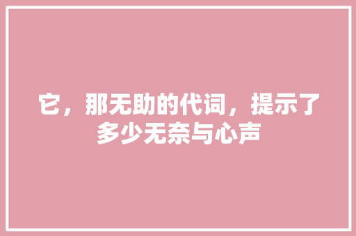它，那无助的代词，提示了多少无奈与心声