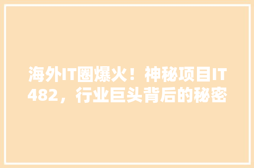 海外IT圈爆火！神秘项目IT482，行业巨头背后的秘密！