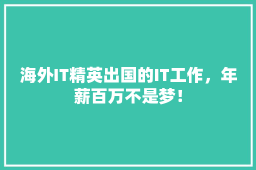 海外IT精英出国的IT工作，年薪百万不是梦！