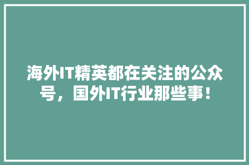 海外IT精英都在关注的公众号，国外IT行业那些事！ 必应SEO