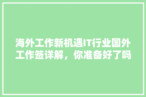 海外工作新机遇IT行业国外工作签详解，你准备好了吗