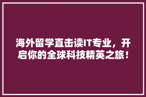 海外留学直击读IT专业，开启你的全球科技精英之旅！
