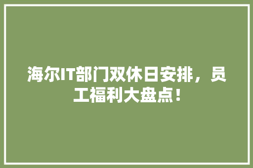 海尔IT部门双休日安排，员工福利大盘点！