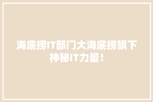 海底捞IT部门大海底捞旗下神秘IT力量！