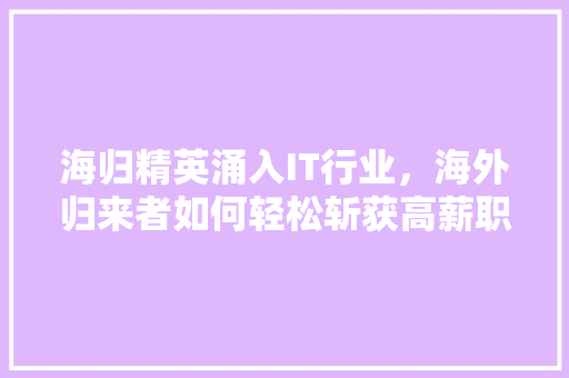 海归精英涌入IT行业，海外归来者如何轻松斩获高薪职位！