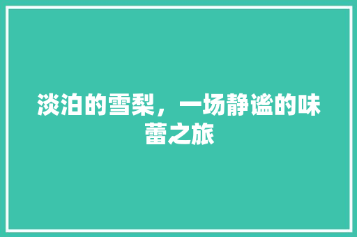 淡泊的雪梨，一场静谧的味蕾之旅 百度SEO