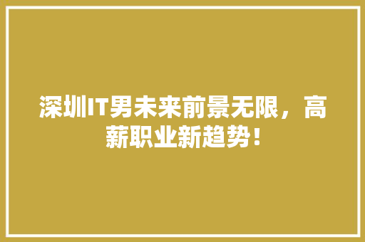 深圳IT男未来前景无限，高薪职业新趋势！