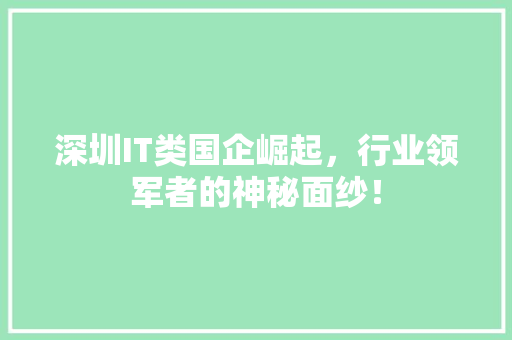 深圳IT类国企崛起，行业领军者的神秘面纱！ 百度SEO