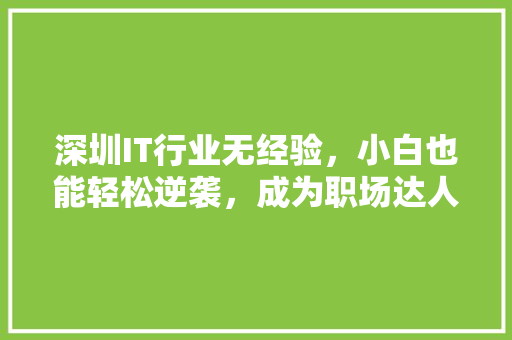 深圳IT行业无经验，小白也能轻松逆袭，成为职场达人！ 神马SEO