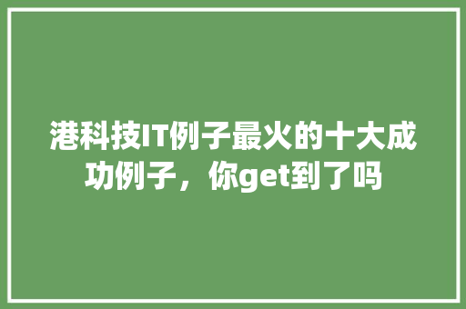 港科技IT例子最火的十大成功例子，你get到了吗 GoogleSEO