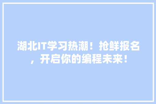 湖北IT学习热潮！抢鲜报名，开启你的编程未来！