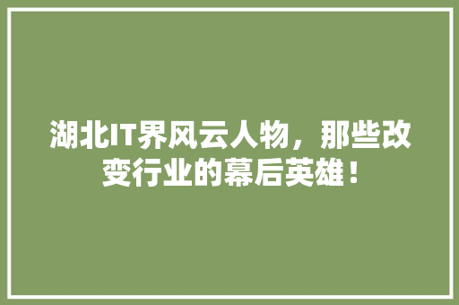 湖北IT界风云人物，那些改变行业的幕后英雄！