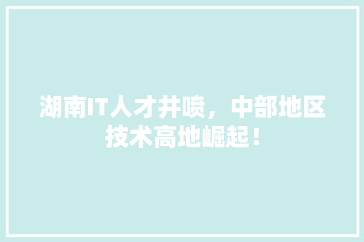 湖南IT人才井喷，中部地区技术高地崛起！