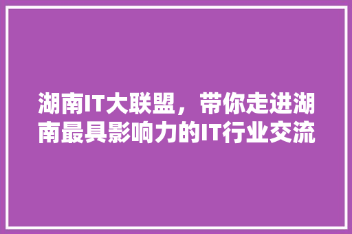 湖南IT大联盟，带你走进湖南最具影响力的IT行业交流平台！ GoogleSEO